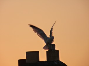 Aberystwyth Sunset